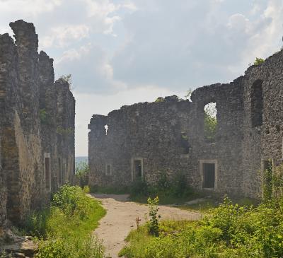 Уцелевшие стены Невицкого замка