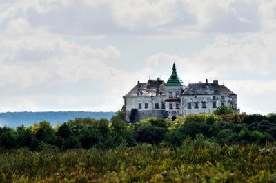 Замок в Олесько издалека