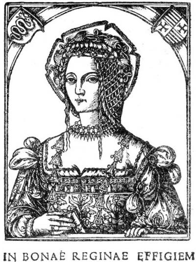 Портрет королевы Боны Сфорцы д’Арагоны