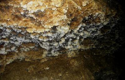 Белые кристаллы на потолке в пещере Млынки