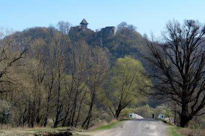 Вигляд здалеку на Невицький замок