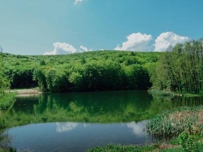Озеро в урочище "Монастырок"