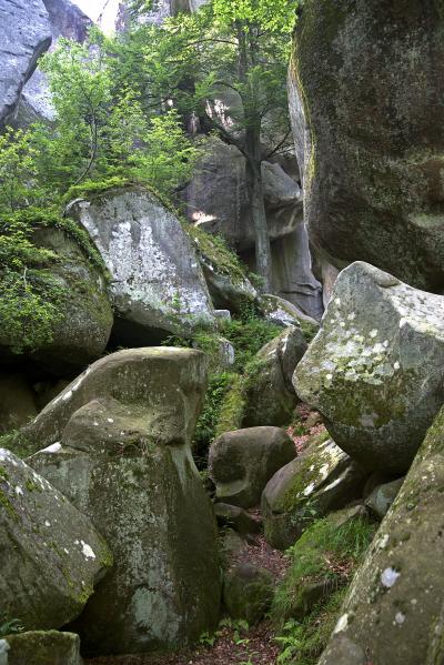 Великі камені скель Довбуша біля села Бубнище