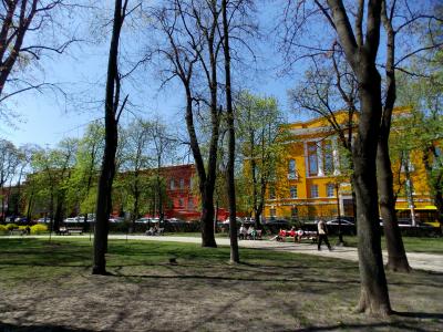 Вид на университет Шевченко и его библиотеку из парка имени Тараса Шевченко в Киеве