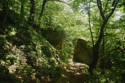 Ворота до печерного монастиря у Розгірче